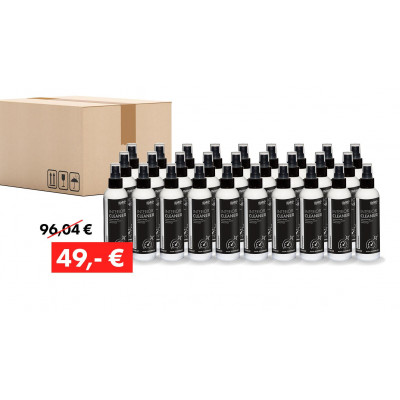 Aktionspaket Quick&Bright INTERIOR CLEANER, Innenraumreiniger: 28 x 200 ml Flasche